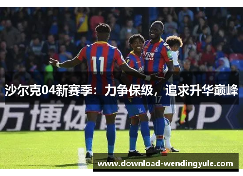 沙尔克04新赛季：力争保级，追求升华巅峰